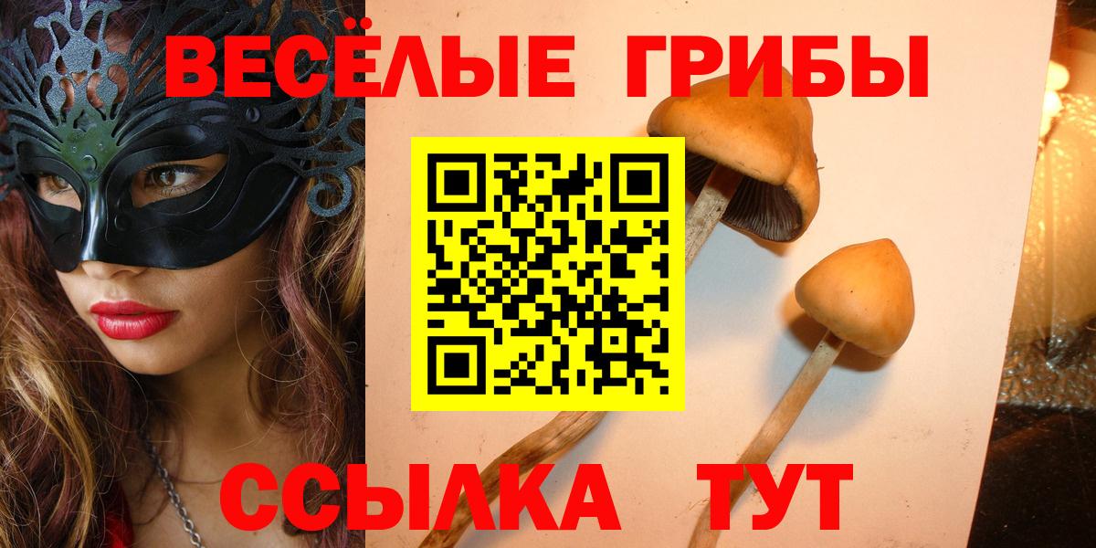 Дзержинск  Галлюциногенные грибы прущие грибы  Вход с VPN  Псилоцибиновые грибы мухоморы 