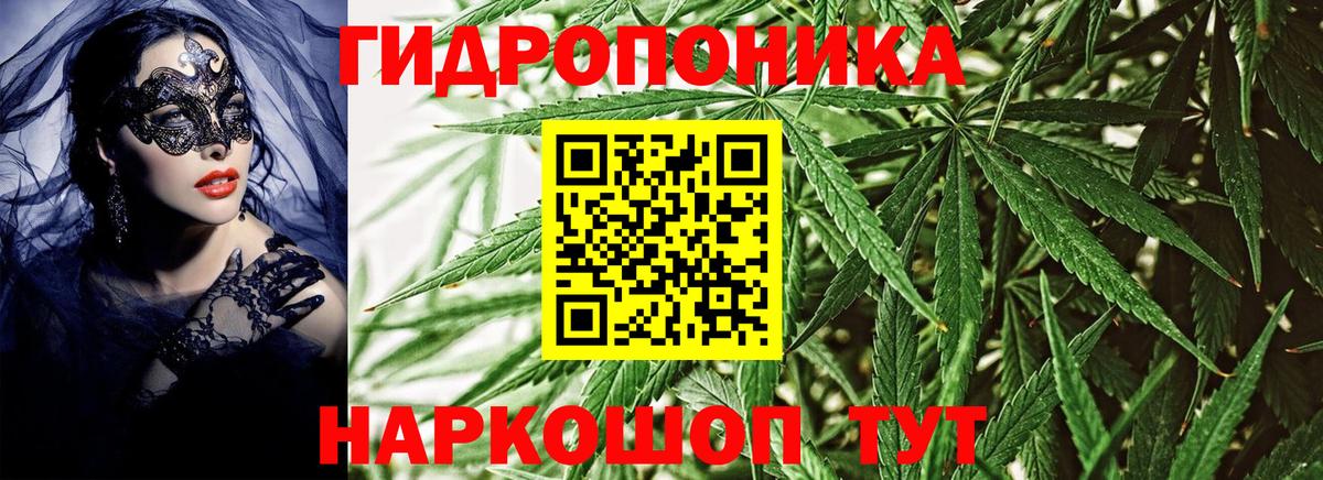МАРИХУАНА планчик  Вход с VPN  Конопля LSD WEED  Канабис THC 21%  Дзержинск  Бошки марихуана план 